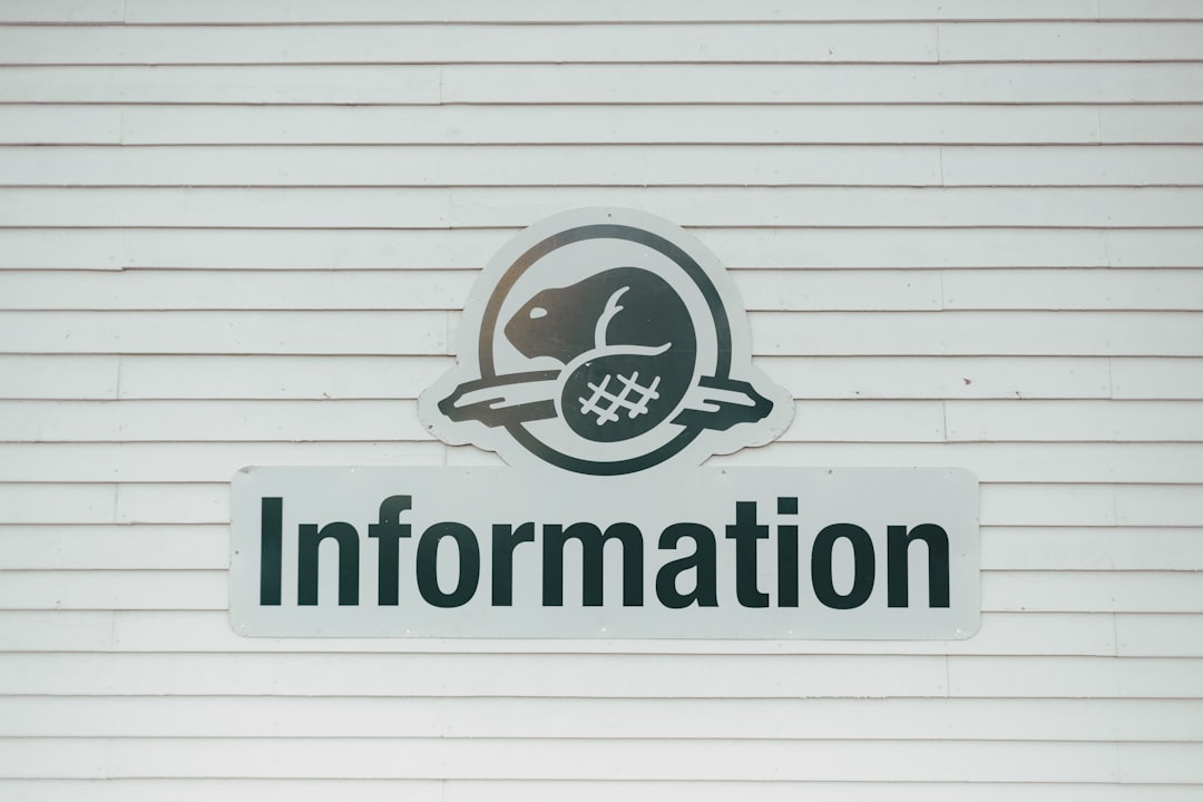 5 Estrategias de monetización para infoproductos